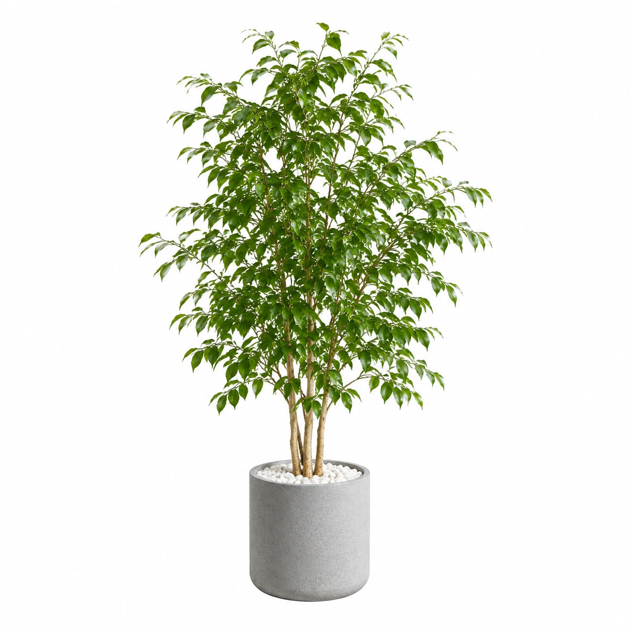 Plante artificielle ficus 180 cm feuillage vert en pot gris décoratif pour intérieur