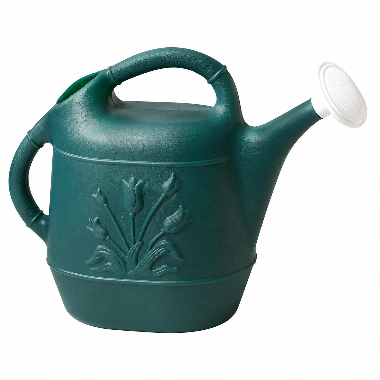 Arrosoir de jardin 10 L en plastique vert avec pomme d'arrosage