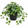 Plante verte artificielle 70 cm en plastique vert et noir - retombante décorative intérieure